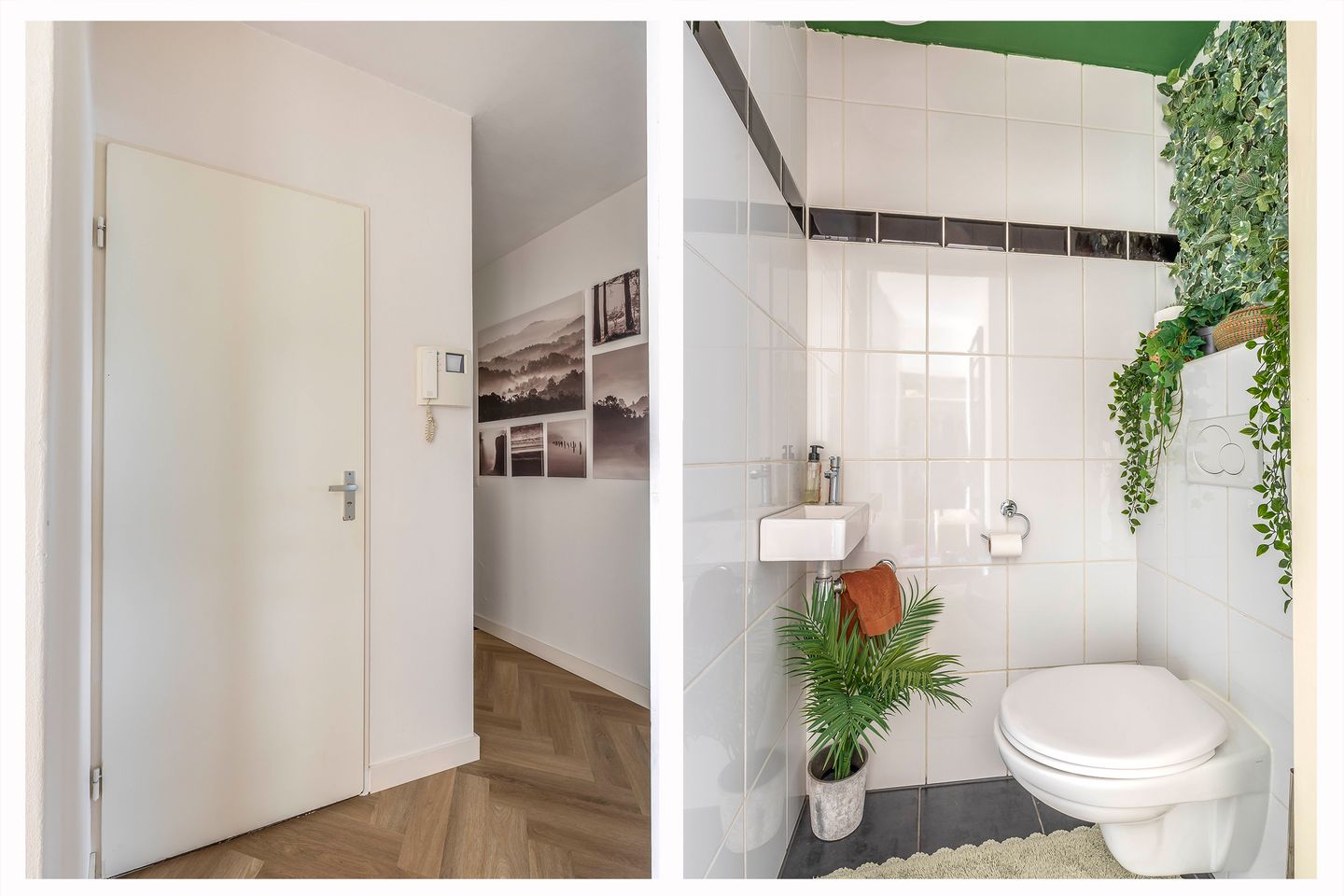 Foto 14 van Ir J.P. van Muijlwijkstraat 190