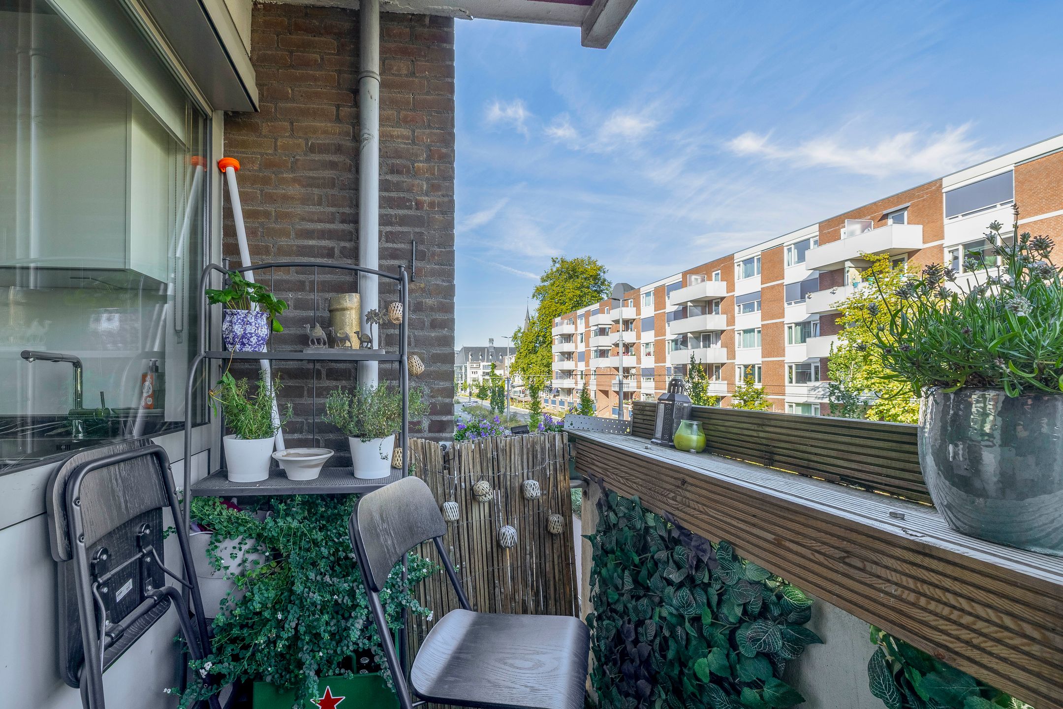 Foto 21 van Ir J.P. van Muijlwijkstraat 190