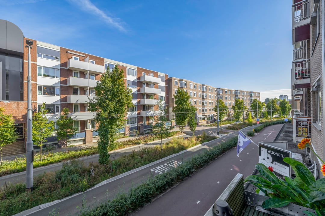 Foto 23 van Ir J.P. van Muijlwijkstraat 190