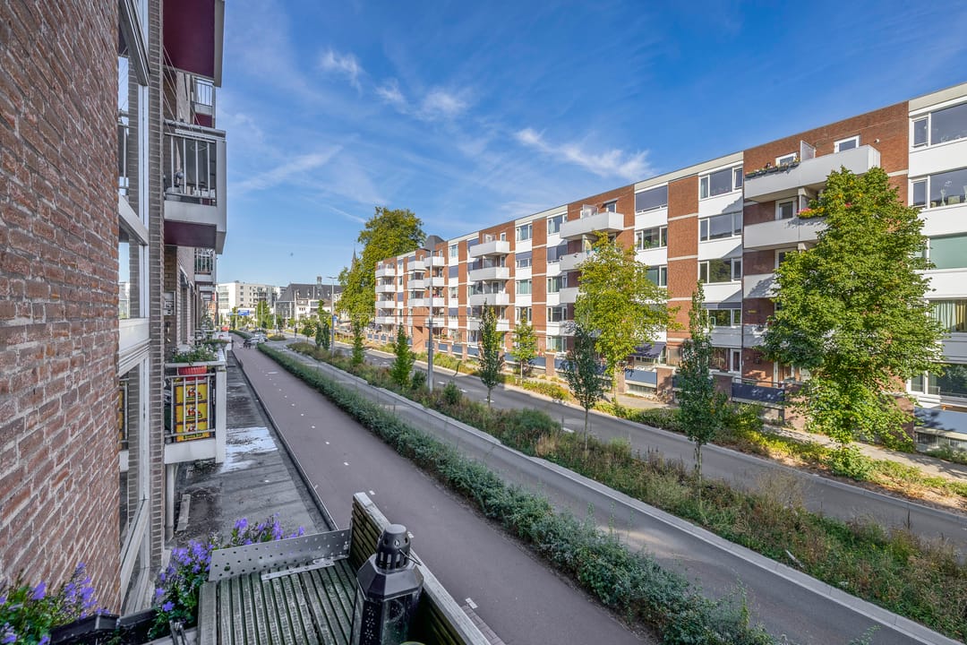 Foto 22 van Ir J.P. van Muijlwijkstraat 190