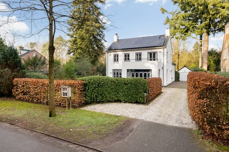 undefined main image