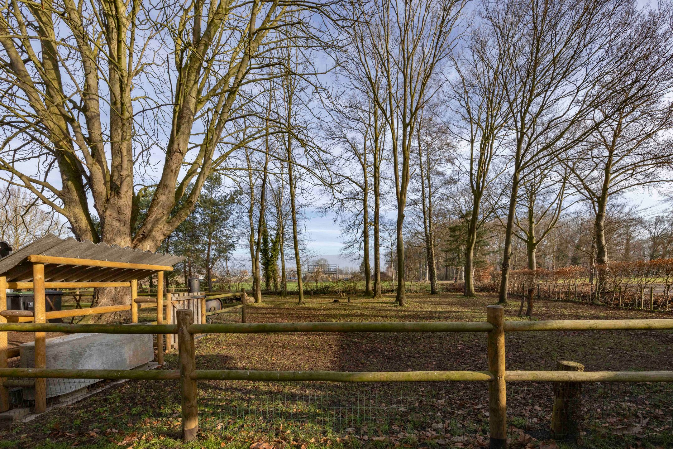 Foto 45 van Lagevoortseweg 6