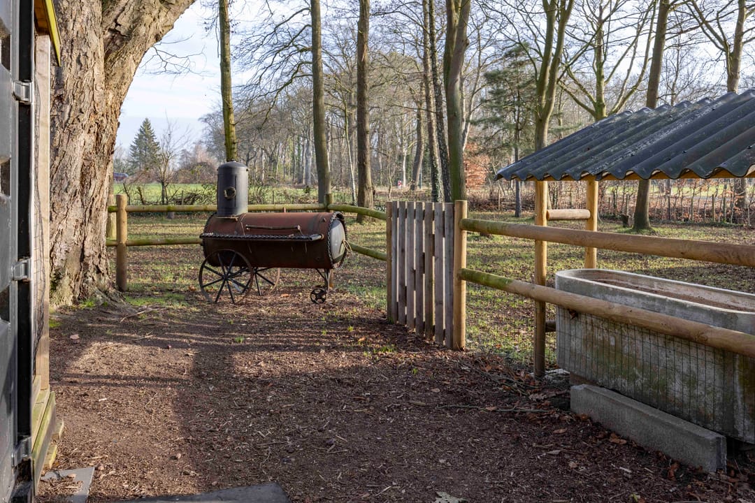 Foto 46 van Lagevoortseweg 6