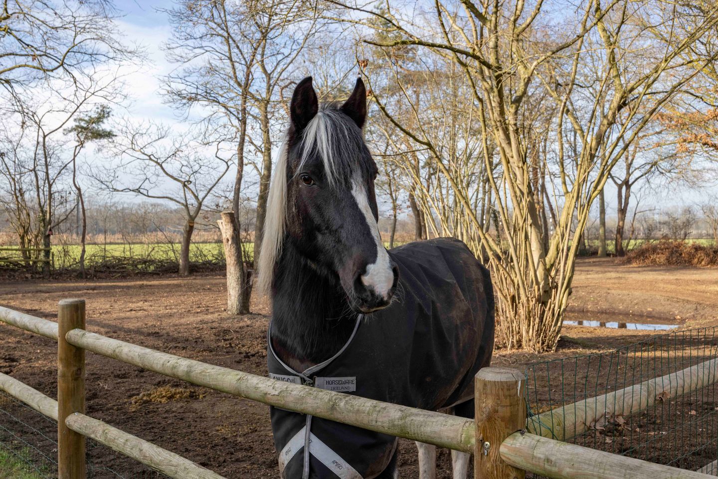 Foto 49 van Lagevoortseweg 6