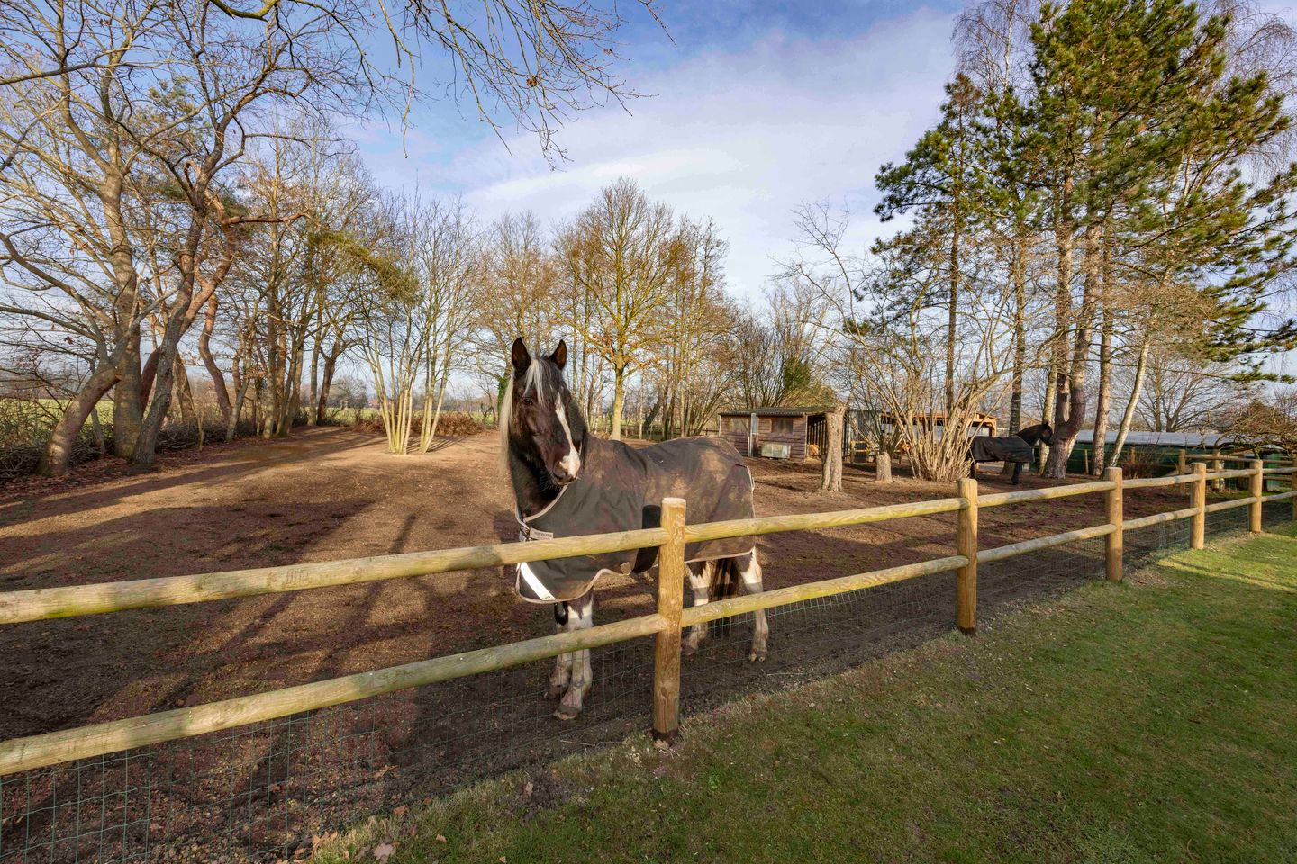 Foto 50 van Lagevoortseweg 6