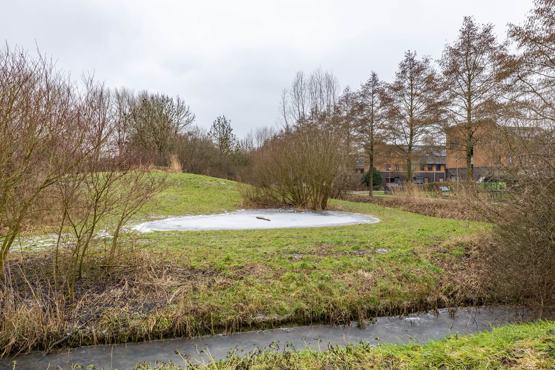 Photo 53 of H.N. Werkmanstraat 38