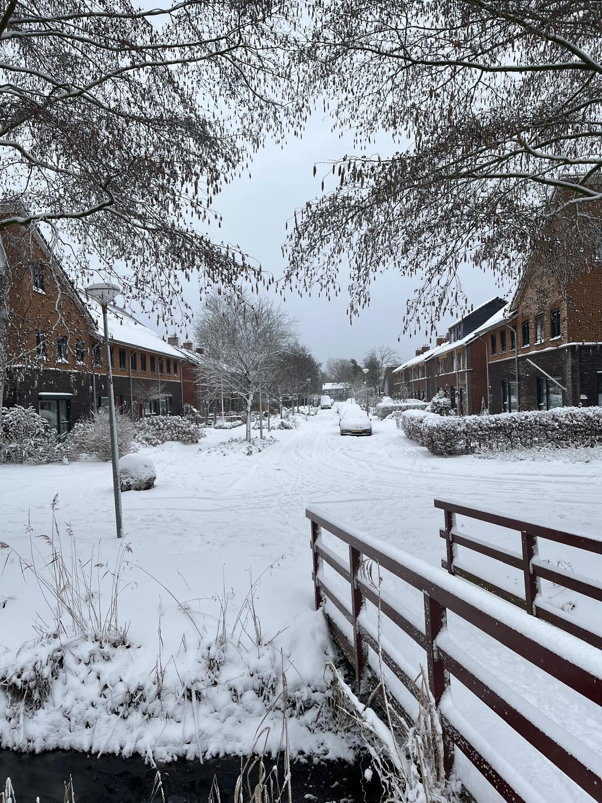 Photo 55 of H.N. Werkmanstraat 38