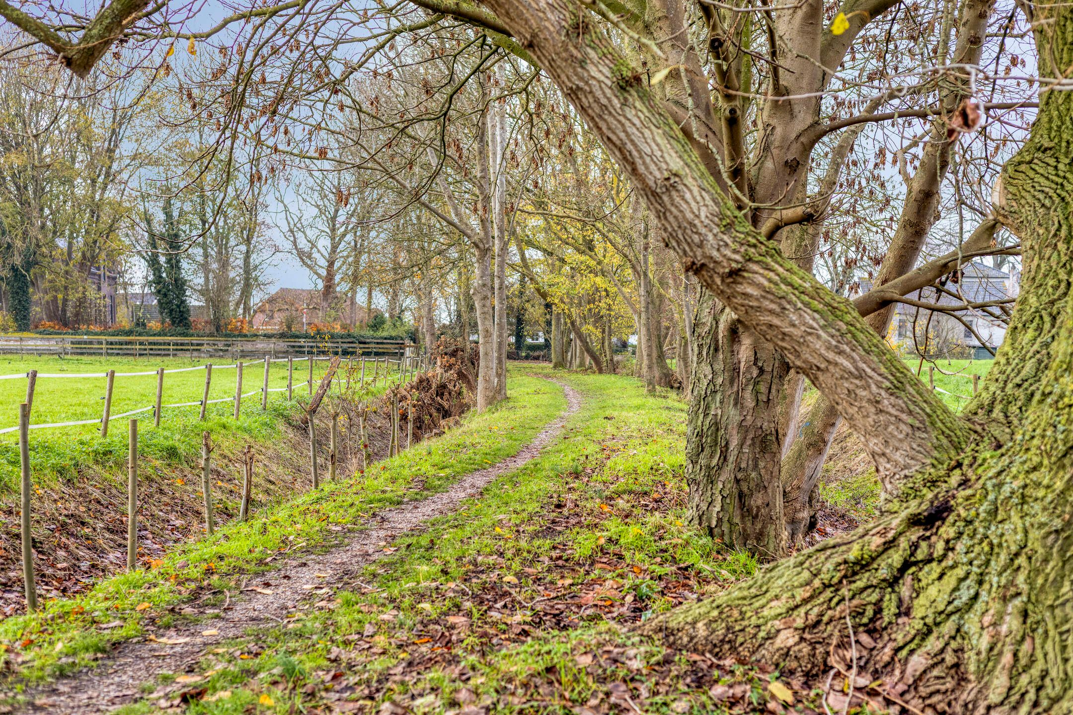 Foto 60 van Kesselse Dijk 23