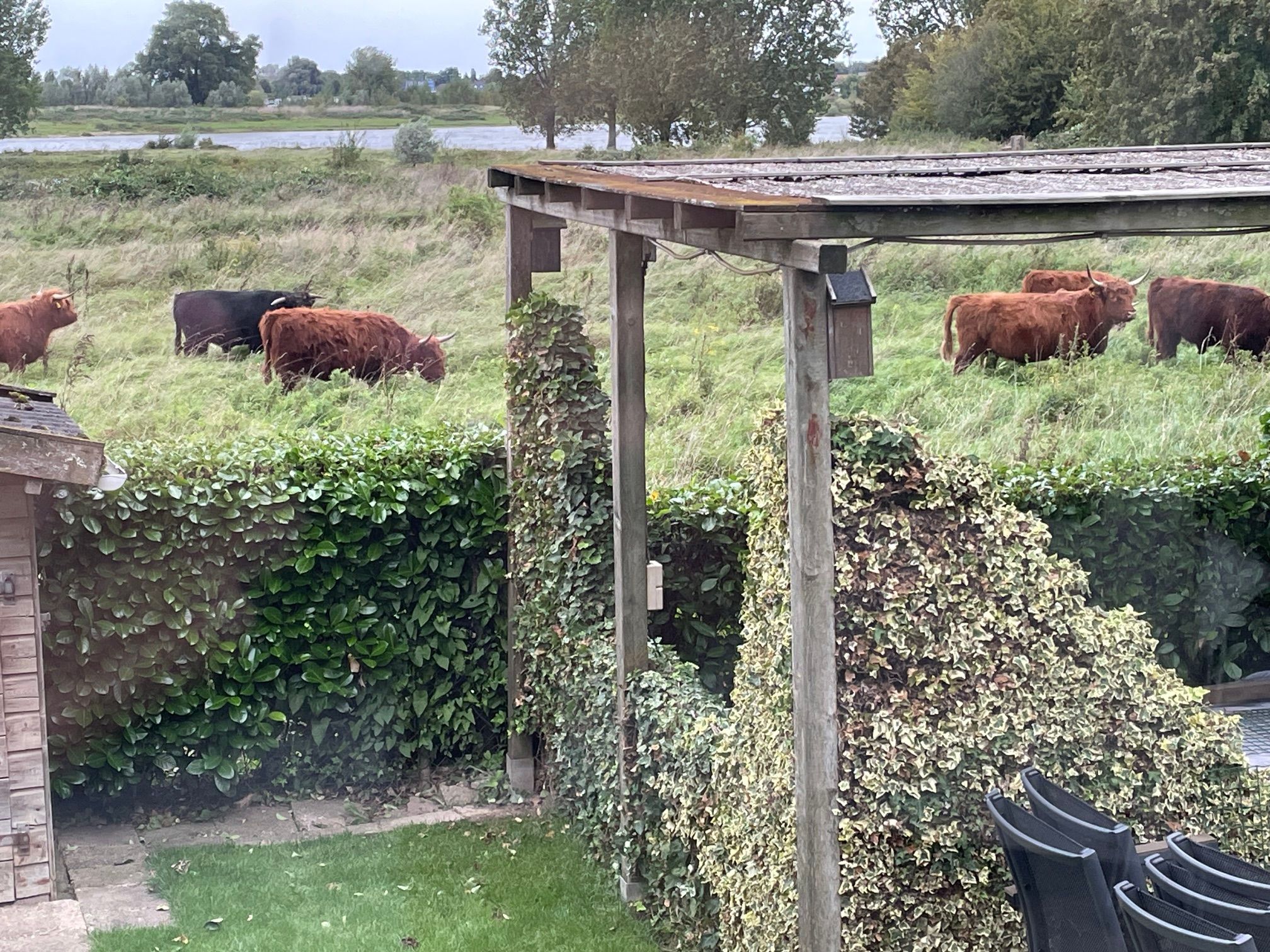 Foto 63 van Kesselse Dijk 23