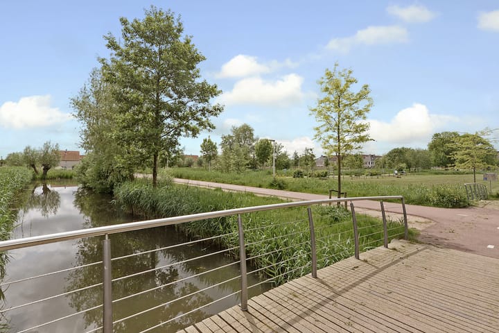 Photo 46 of De Does 8