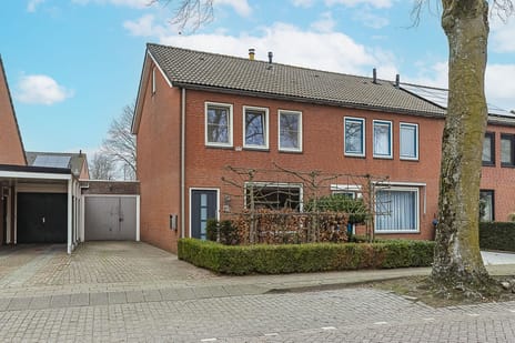 undefined main image