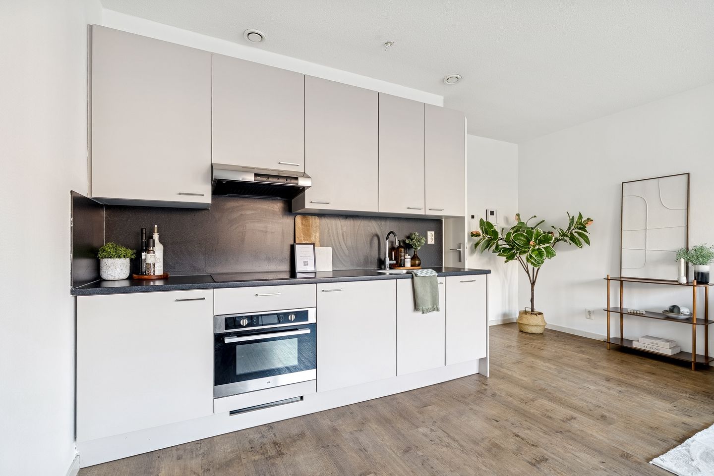 Foto 4 van San Marinostraat 25