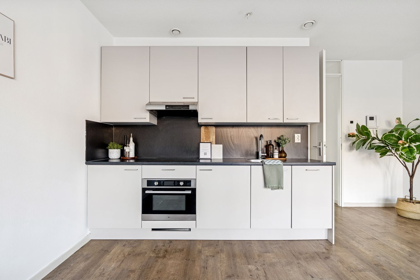 Foto 20 van San Marinostraat 25