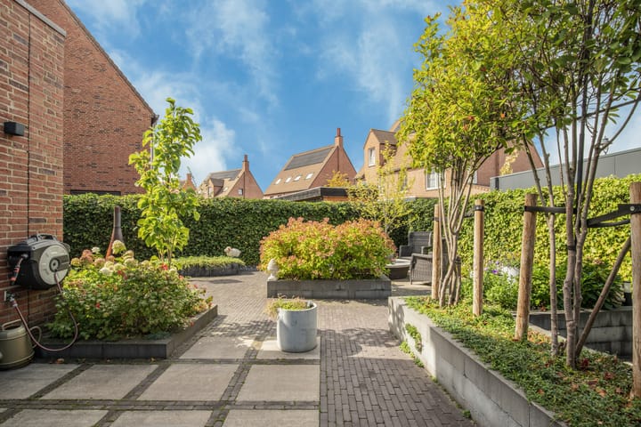 Foto 26 van Thomas Morelaan 99