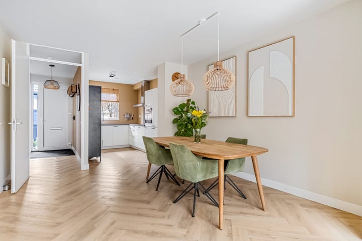 Foto 2 van Zanglijster 93