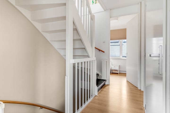 Foto 19 van Zanglijster 93