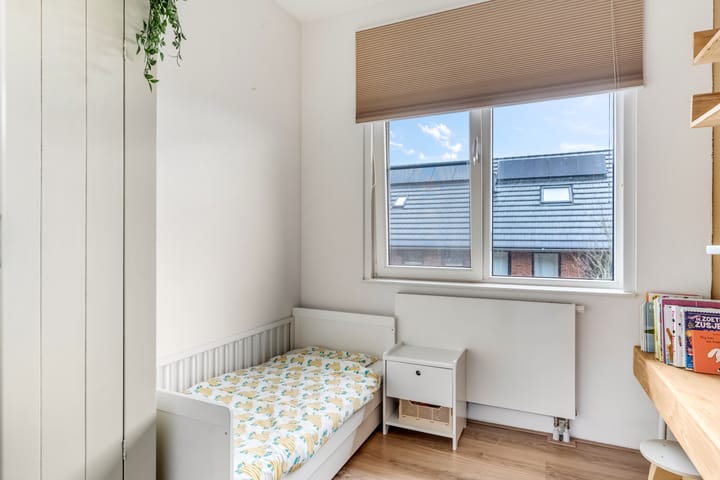 Foto 26 van Zanglijster 93