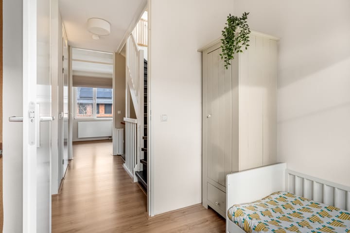 Foto 27 van Zanglijster 93