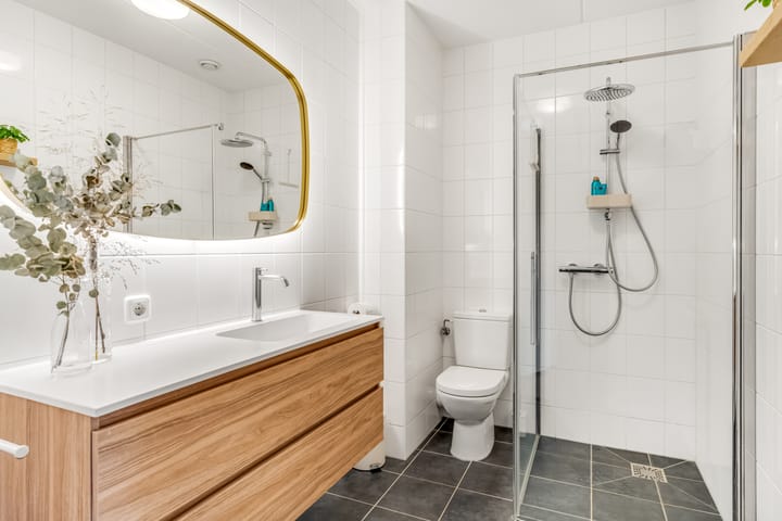 Foto 28 van Zanglijster 93