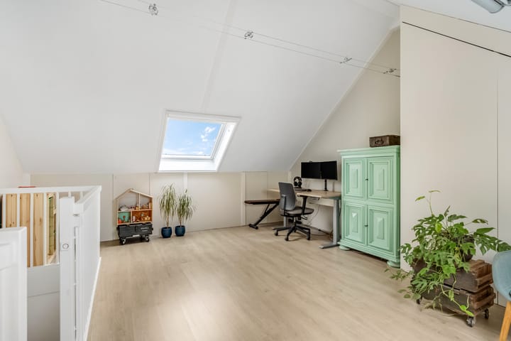 Foto 31 van Zanglijster 93