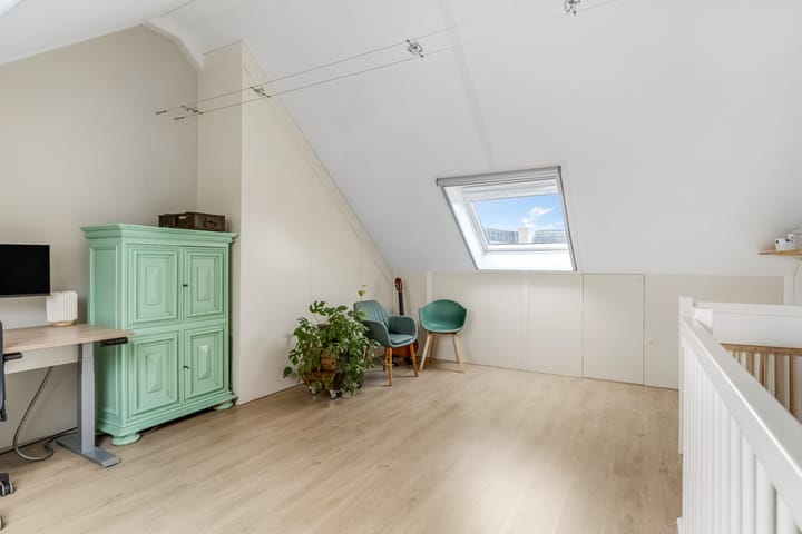 Foto 32 van Zanglijster 93