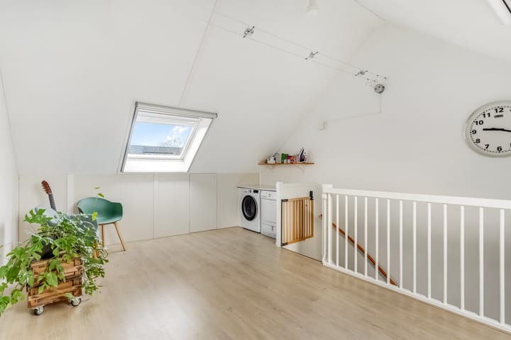 Foto 33 van Zanglijster 93