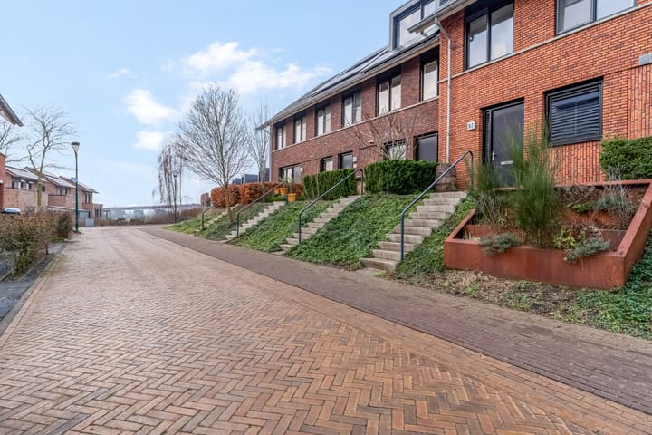 Foto 39 van Zanglijster 93