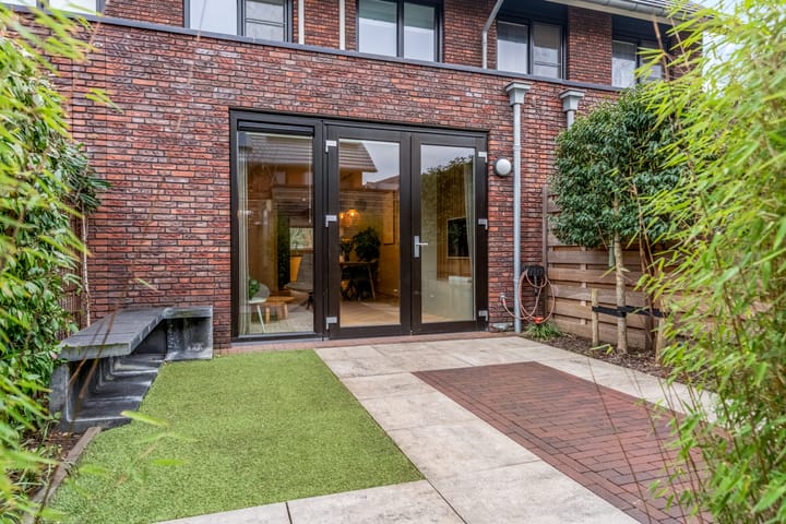 Foto 38 van Zanglijster 93