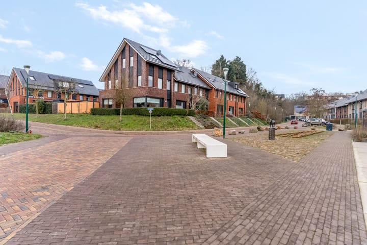 Foto 41 van Zanglijster 93