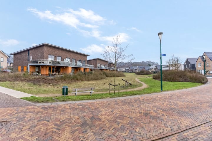 Foto 42 van Zanglijster 93