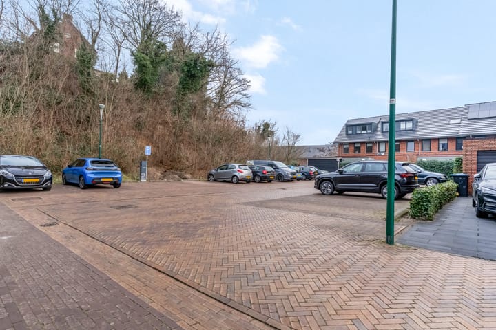 Foto 43 van Zanglijster 93