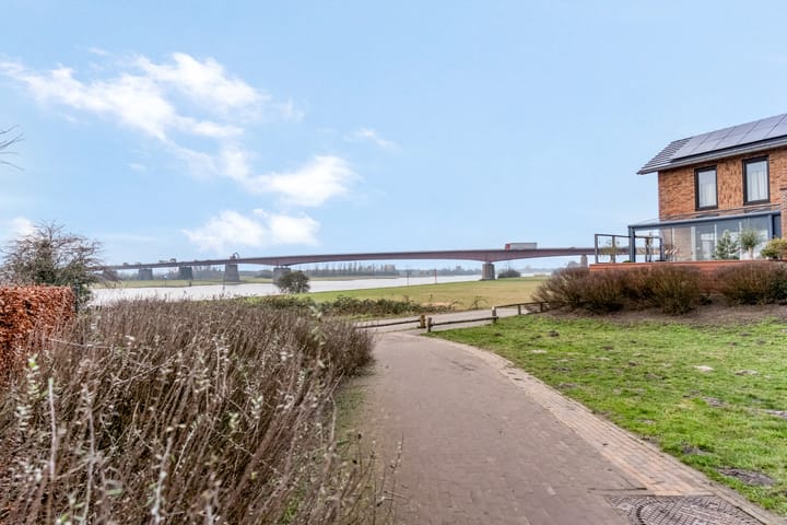 Foto 44 van Zanglijster 93