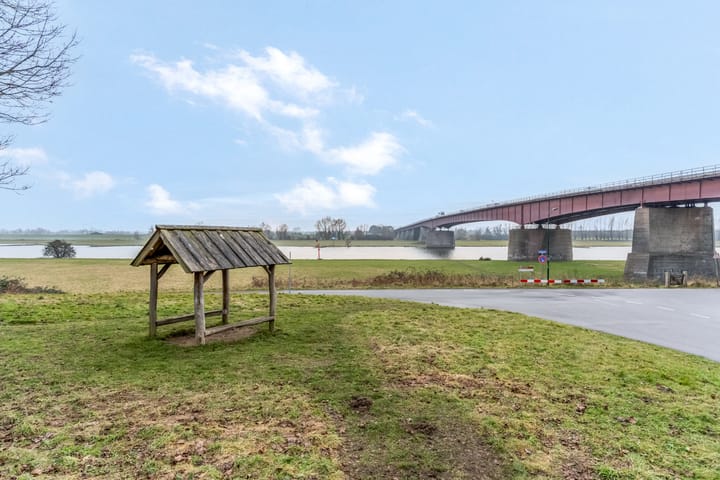 Foto 45 van Zanglijster 93