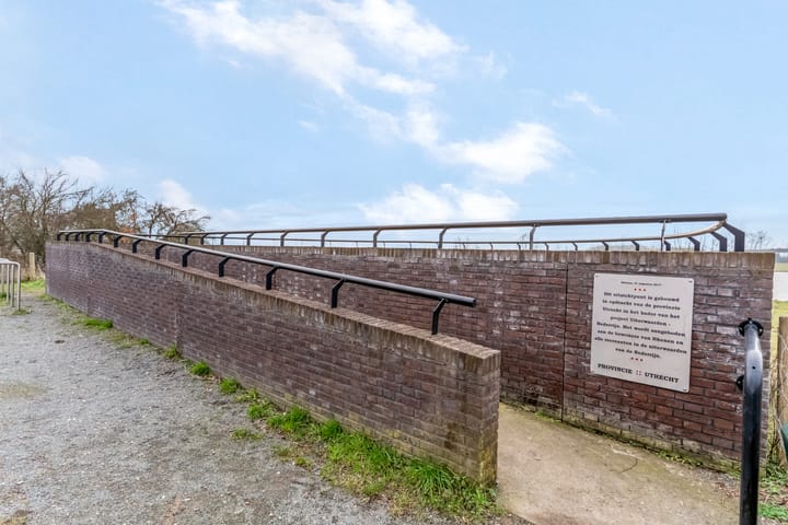 Foto 46 van Zanglijster 93