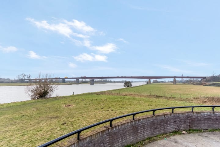 Foto 47 van Zanglijster 93