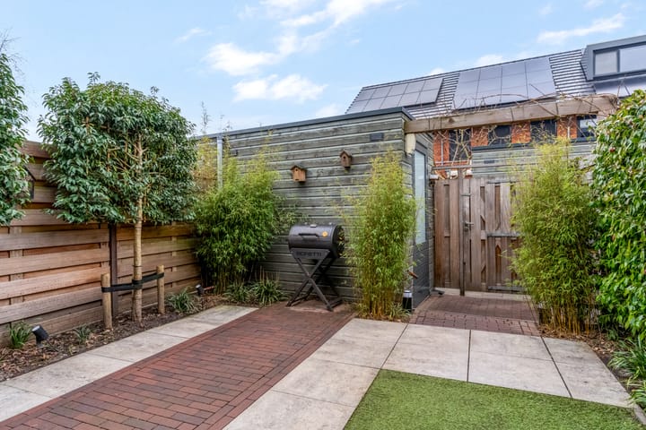 Foto 37 van Zanglijster 93