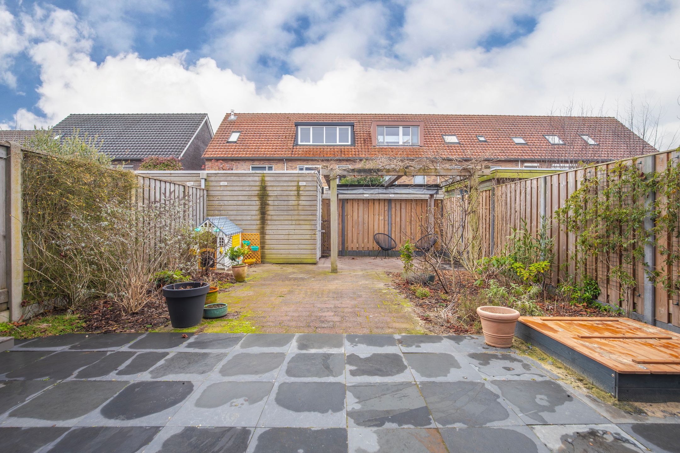 Foto 3 van Pijlkruid 10