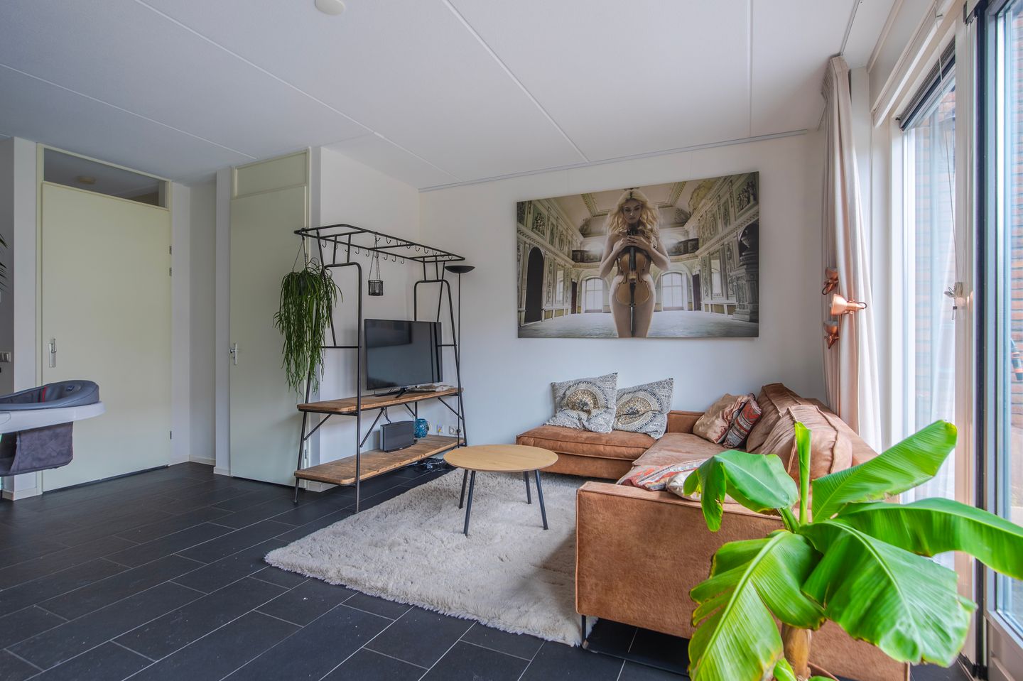 Foto 10 van Pijlkruid 10