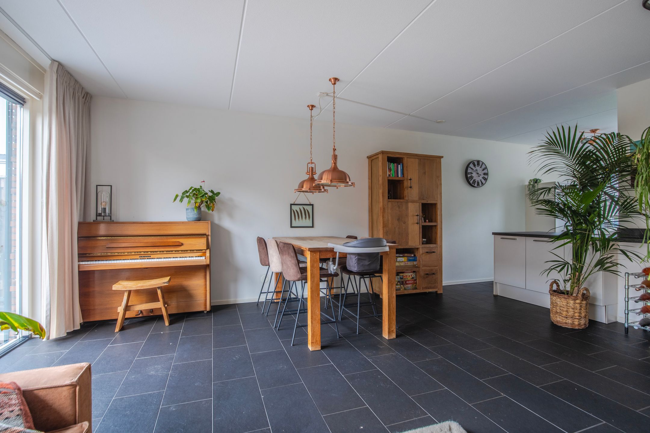 Foto 12 van Pijlkruid 10