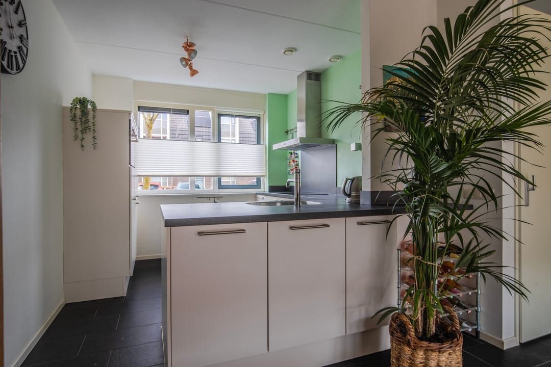 Foto 13 van Pijlkruid 10