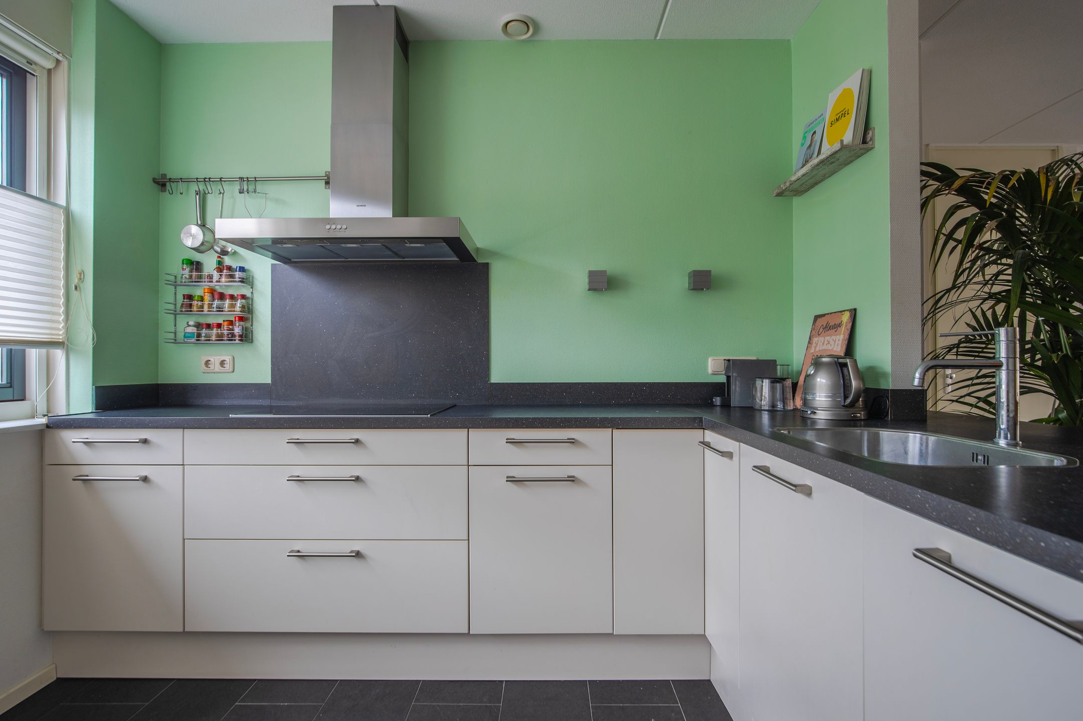 Foto 15 van Pijlkruid 10