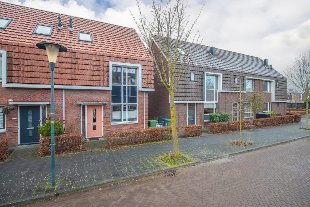 Foto 31 van Pijlkruid 10