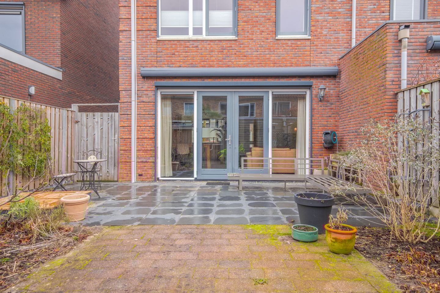 Foto 20 van Pijlkruid 10