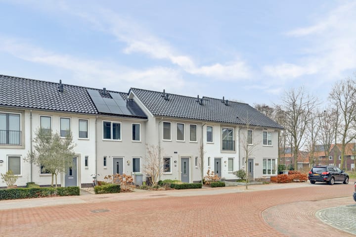 Foto 2 van Meiraap 58