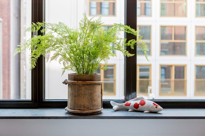 Foto 14 van Westplein 61