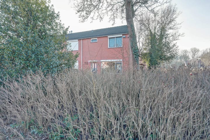 Foto 35 van Wilgenlaan 19