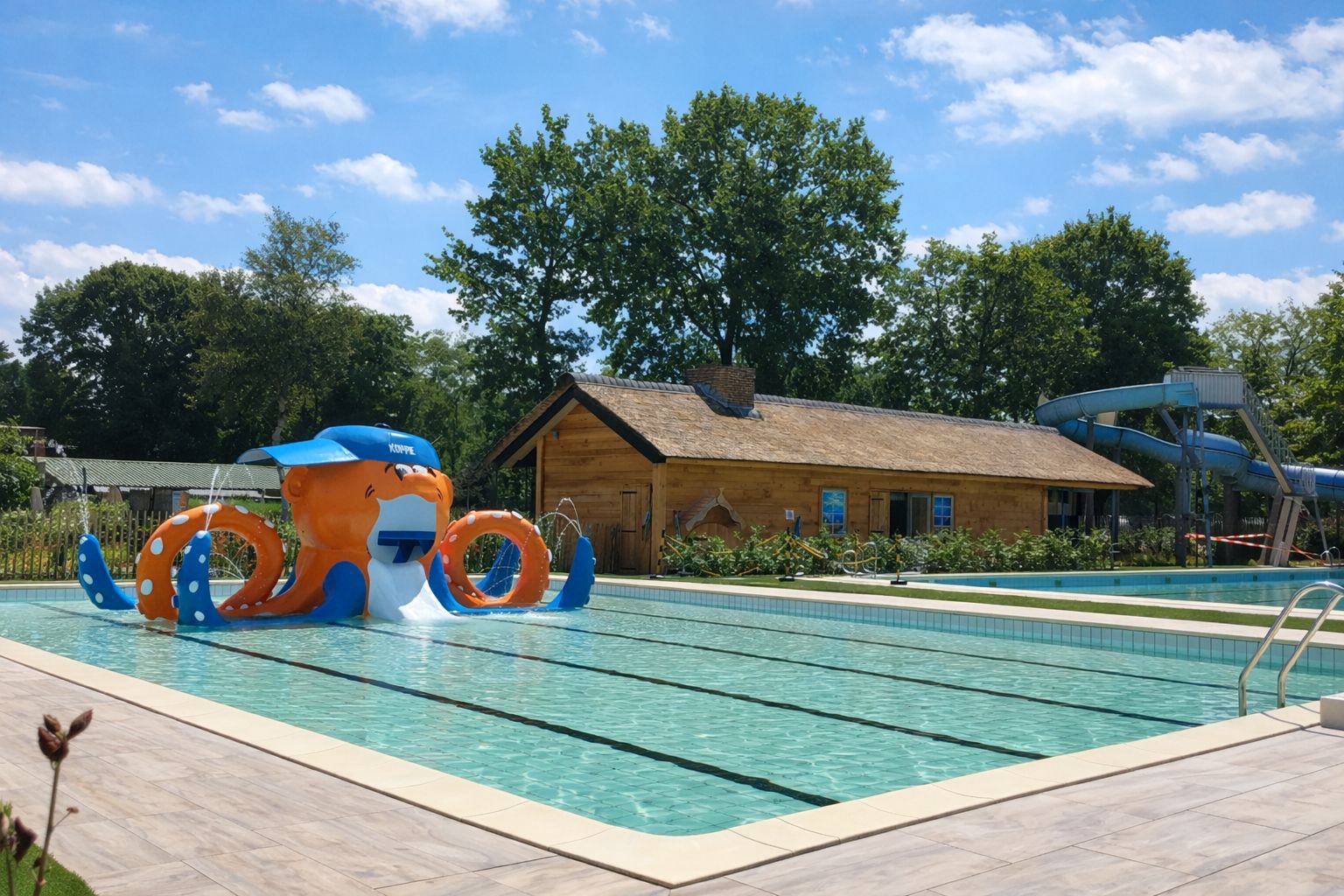 Foto 12 van van Haestrechtstraat 24-270