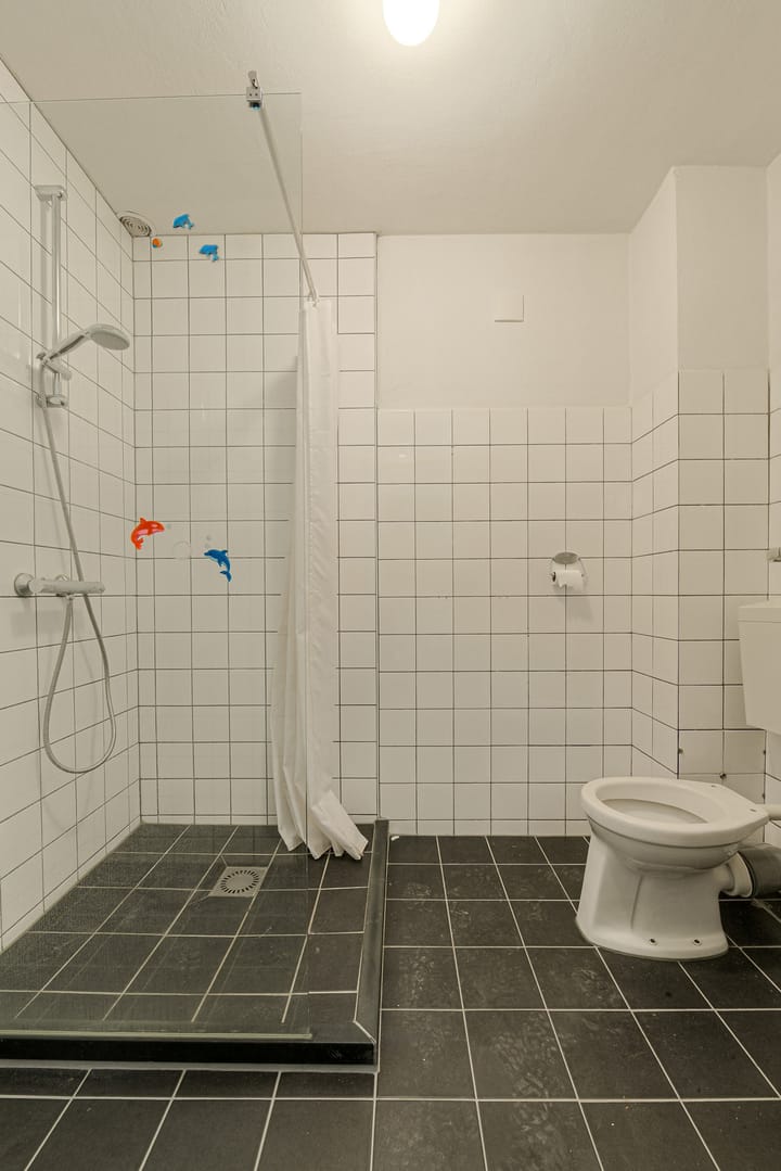 Foto 23 van Brahmsstraat 5