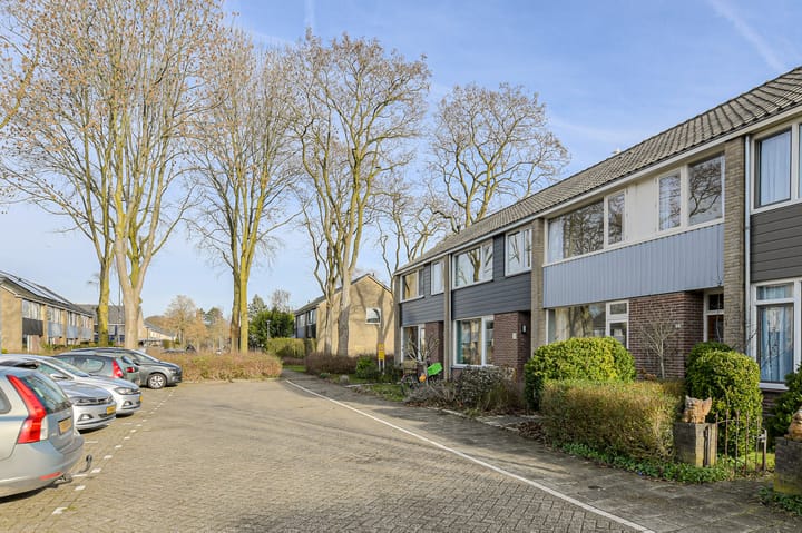 Foto 41 van Brahmsstraat 5