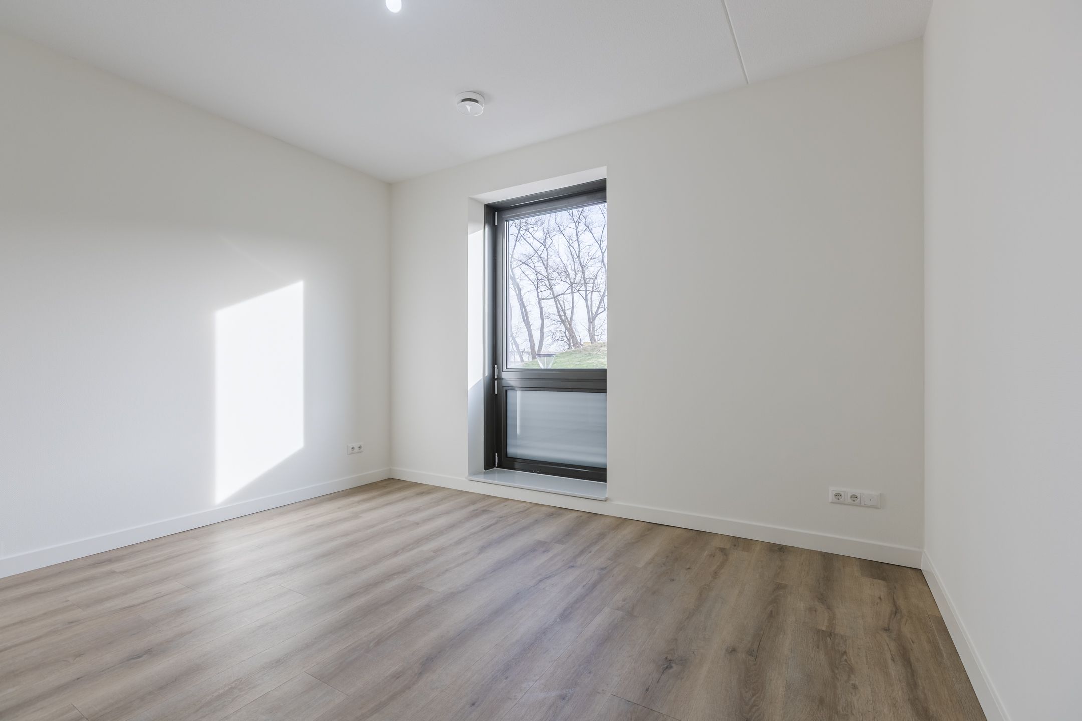 Foto 12 van Barkentijn 13